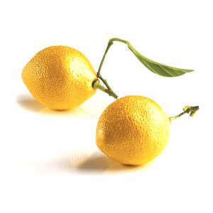 cedric_grolet_by_pavoni_silicone_citron_mold_53mm__50607