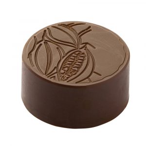 Chocolate World Polycarbonate Chocolate Mold, Cocoa Bean Praline