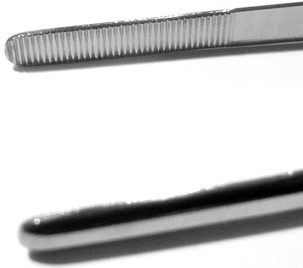 Surgical Tongs 10  Stainless Steel  