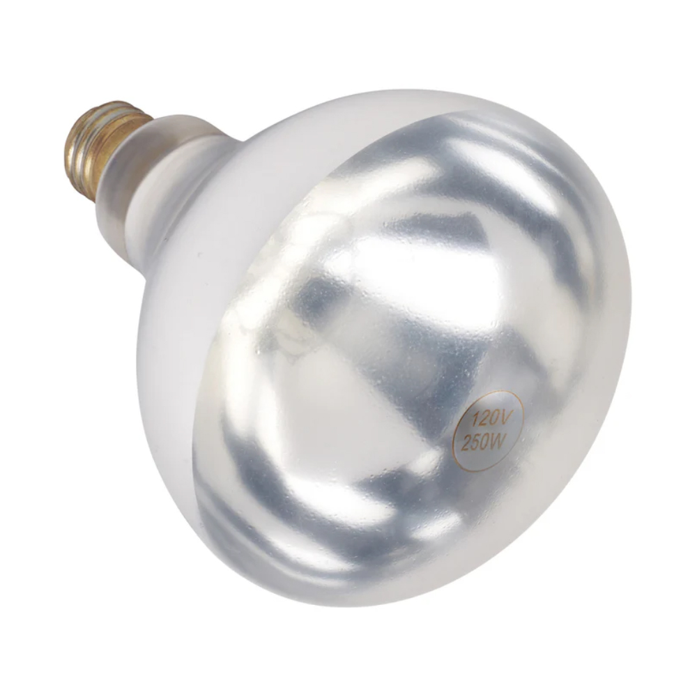 Winco Clear Shatter Resistant Bulb for EHL-3C, EHL-2C & EHL-2 image 1