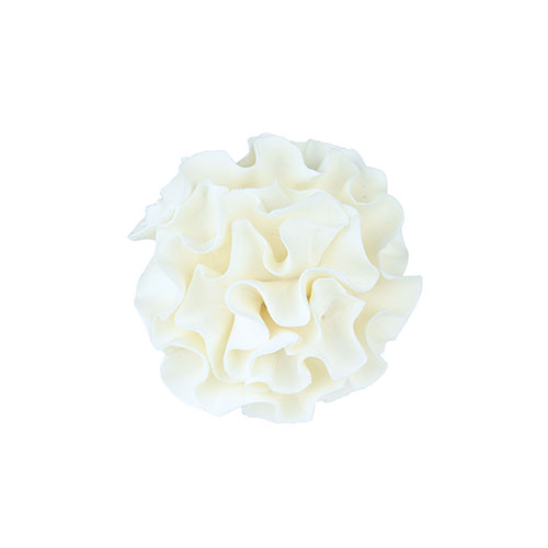 White Large Carnation Gumpaste Flowers - Set of 6 Gumpaste Flowers ...