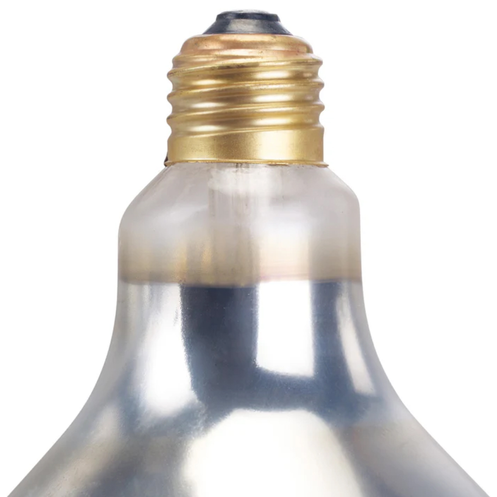 Winco Clear Shatter Resistant Bulb for EHL-3C, EHL-2C & EHL-2 image 2