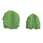 O'Creme Green Royal Icing Leaves, Set of 12