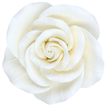 O'Creme White Garden Rose Gumpaste Flowers, 2