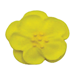 O'Creme Yellow Royal Icing Pansies, Set of 14